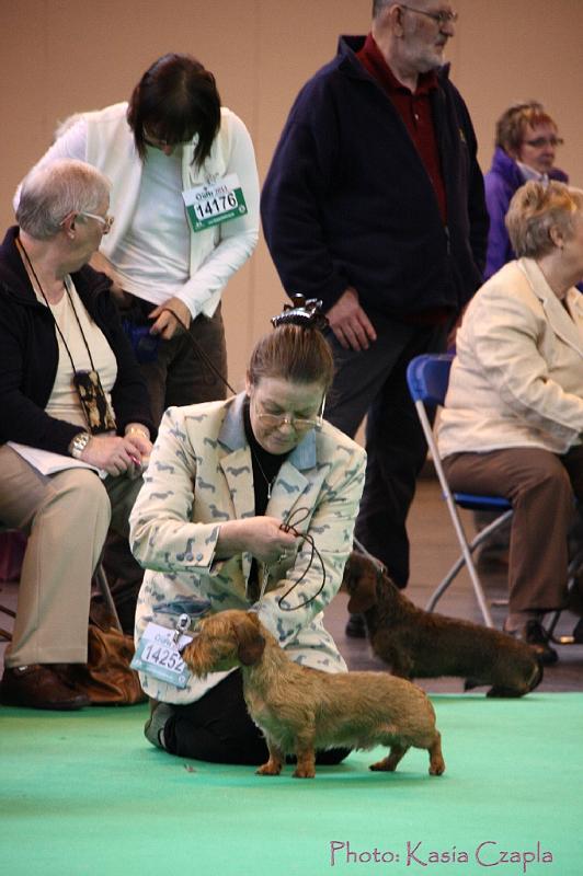 Crufts2011_2 546.jpg